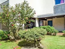 Bild zur gratis inserierten Ferienwohnung Port Maria.