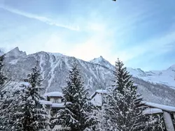 Ferienwohnung Le Grépon in Chamonix-Mont-Blanc - 4 Personen, Hund erlaubt