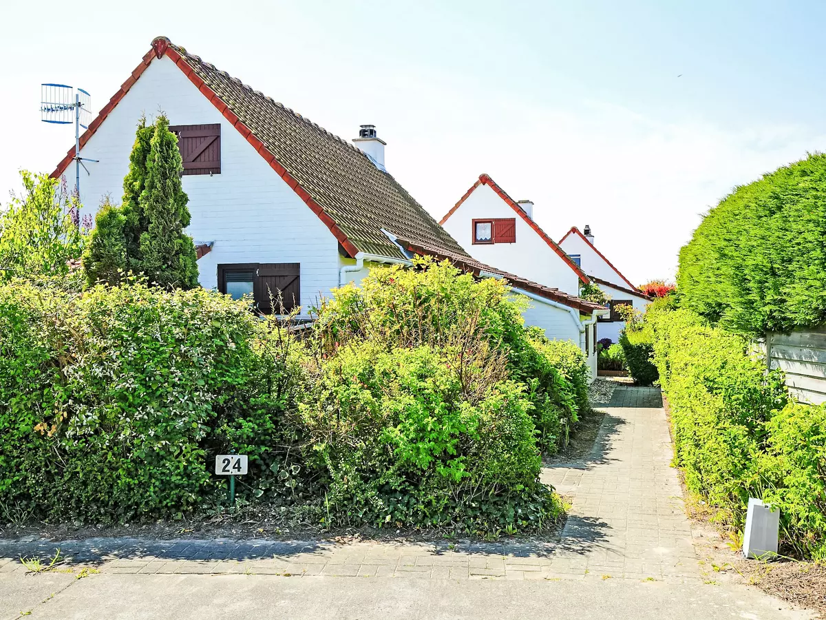 Bild-1