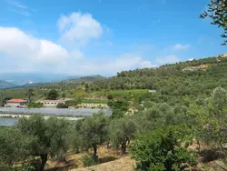 Bild zur gratis inserierten Ferienwohnung Angela (PGI126).