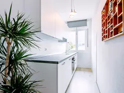 Ferienhaus Villetta ai Pini in Calceranica al Lago - 4 Personen, Hund nicht erlaubt