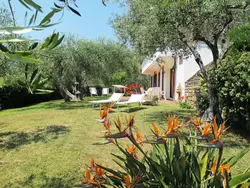 Ferienwohnung Alberto B in Diano Castello - 6 Personen, Hund erlaubt