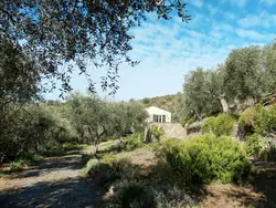 Bild zur gratis inserierten Ferienwohnung Il Terebinto (IMP427).