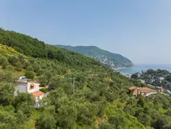 Bild zur gratis inserierten Ferienwohnung Casa Nueva.