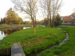 Bild zur gratis inserierten Ferienwohnung Ferienwohnung Mandau Insel.