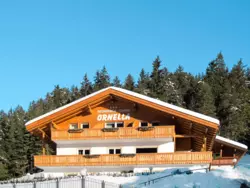 Ferienwohnung Ornella in St. Ulrich in Gröden - 2 Personen, Hund erlaubt