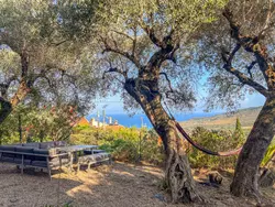 Ferienhaus Villa Valentina in Diano Marina - 6 Personen, Hund erlaubt