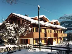 Ferienwohnung Alpine Retreat in Adelboden - 4 Personen, Hund nicht erlaubt
