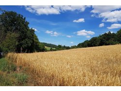 Bild zur gratis inserierten Ferienwohnung Kleines Ferienhaus in der Rhön - Verfügbarkeit und Preise auf Anfrage.