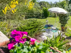 Ferienhaus Sea View in Rosignano Marittimo - 10 Personen, Hund erlaubt