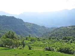Ferienwohnung La Tartufaia in Tremosine sul Garda - 4 Personen, Hund erlaubt