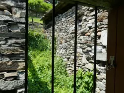 Bild zur gratis inserierten Ferienwohnung Rustico Cleo.