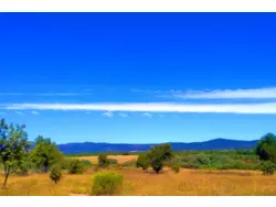 Bild zur gratis inserierten Ferienwohnung Williamson.