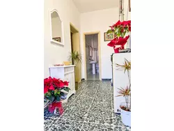 Bild zur gratis inserierten Ferienwohnung Ambra.