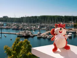 Ferienwohnung BEECH Resort Boltenhagen in Boltenhagen - 4 Personen, Hund nicht erlaubt