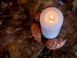 Bild zur gratis inserierten Ferienwohnung Ambassadeur 1.