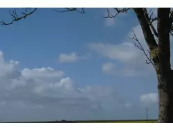 Bild zur gratis inserierten Ferienwohnung Landhaus Löwenzahn.