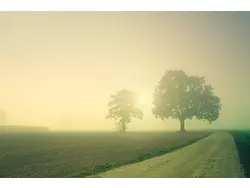 Bild zur gratis inserierten Ferienwohnung FEWO Emsland.