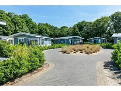 Bild zur gratis inserierten Ferienwohnung Duinen deLuxe 5.