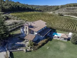 Ferienhaus Villa Creviolo in Loazzolo - 30 Personen, Hund erlaubt