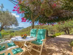 Ferienhaus Can Tiona in Andratx (Serra de Tramuntana) - 4 Personen, Hund erlaubt