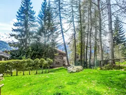 Ferienwohnung Entremont 60 in Bagnes - 2 Personen, Hund erlaubt