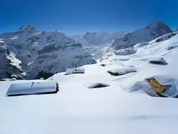 Ferienwohnung Chalet Abendrot apARTments in Grindelwald - 2 Personen, Hund erlaubt