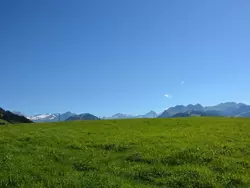 Bild zur gratis inserierten Ferienwohnung Henry (Tiefparterre).