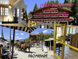 Bild zur gratis inserierten Ferienwohnung Drive.