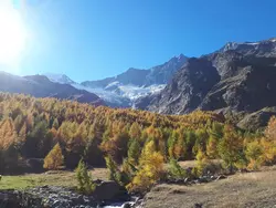 Bild zur gratis inserierten Ferienwohnung Orion.