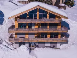 Ferienwohnung Apartmenthaus Riederhoru A EG in Riederalp - 8 Personen, Hund nicht erlaubt