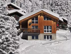 Ferienwohnung Amiel EG Süd in Riederalp - 5 Personen, Hund nicht erlaubt