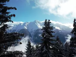 Bild zur gratis inserierten Ferienwohnung Bärgblüemli 2. OG Ost.