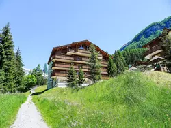 Bild zur gratis inserierten Ferienwohnung Edelweiss A.