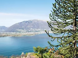 Bild zur gratis inserierten Ferienwohnung App. 2.