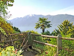 Bild zur gratis inserierten Ferienwohnung App. 1.