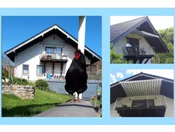 Bild zur gratis inserierten Ferienwohnung Ferienwohnung Gewaltig.