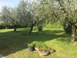 Bild zur gratis inserierten Ferienwohnung Villa Gianna.