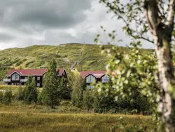 Ferienwohnung Trillevallen 9 in Åre kommun - 8 Personen, Hund erlaubt