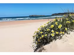 Ferienwohnung Surfen, Sonne und Strand.Somo, Santander.Nordspaniens Kantabrien. in Keine Region - 5 Personen, Hund nicht erlaubt