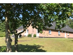 Ferienhaus Lodshuset - Ostsee/Djursland in Norddjurs Kommune - 33 Personen, Hund erlaubt