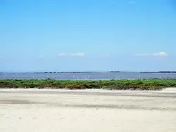 Bild zur gratis inserierten Ferienwohnung Les Maisons de la Plage.