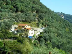 Bild zur gratis inserierten Ferienwohnung Adriana, Pia Luca & Marco (PRE174).