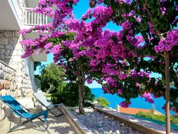 Ferienwohnung Martina in Općina Blato - 6 Personen, Hund nicht erlaubt