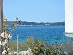 Bild zur gratis inserierten Ferienwohnung Ena.