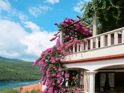 Bild zur gratis inserierten Ferienwohnung Violetta.