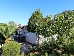 Bild zur gratis inserierten Ferienwohnung Tin.