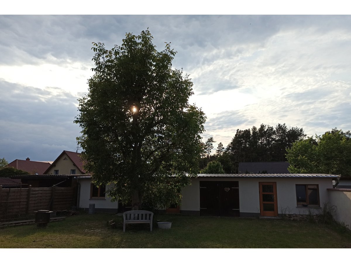 8. Bild Bild-8