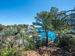 Bild zur gratis inserierten Ferienwohnung Les Mas du Levant.