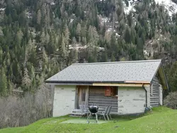 Ferienhaus Rustico Carcarida in Blenio - 4 Personen, Hund erlaubt